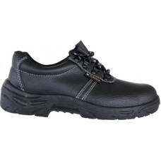  NEW BASIC LOW 01