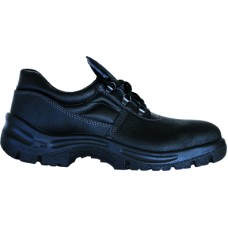 SARAGOSA LOW 01
